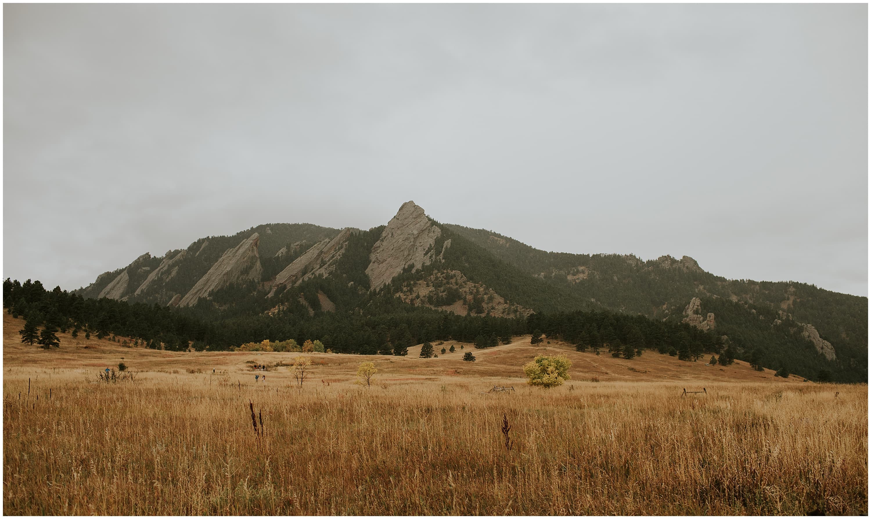Boulder Flatirons Engagement Session with a puppy